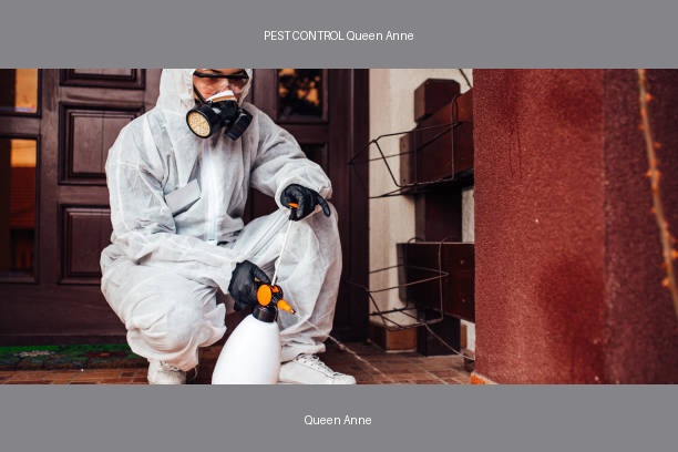 PEST CONTROL Queen Anne